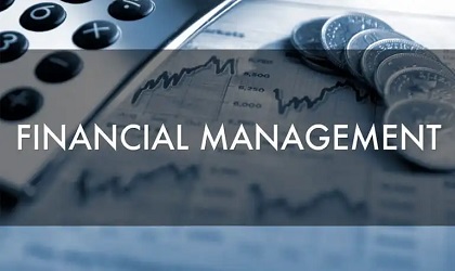 Financial Management Systems